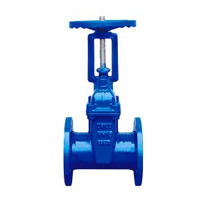 BS5163 rising stem soft seal gate valve