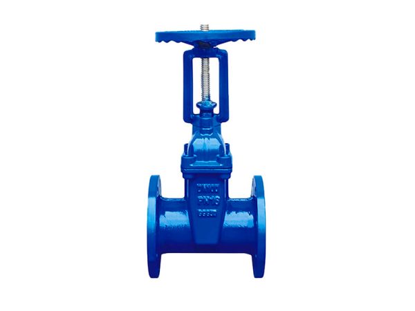 BS5163 rising stem soft seal gate valve