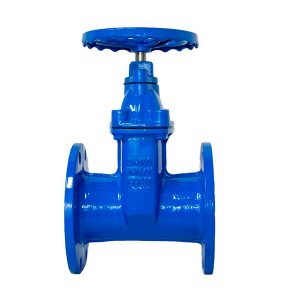 DIN F4 resilient seated gate valve