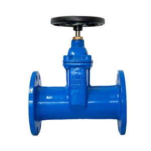 DIN F5 resilient seated gate valve