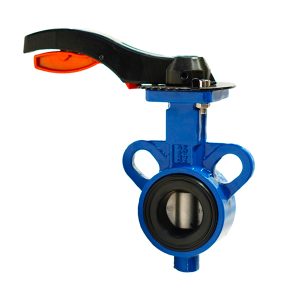 Multi standard EPDM seated butterfly valve