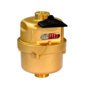 Piston water meter